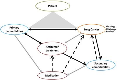 Lung cancer, comorbidities, and medication: the infernal trio